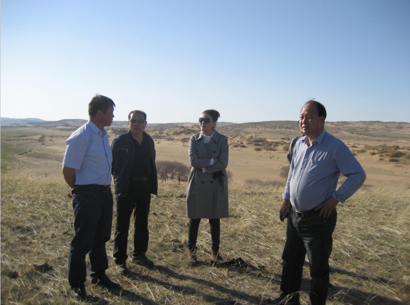 發(fā)揮資源優(yōu)勢(shì)，提高產(chǎn)業(yè)鏈競(jìng)爭(zhēng)力——協(xié)會(huì)為企業(yè)間的合作搭建平臺(tái)