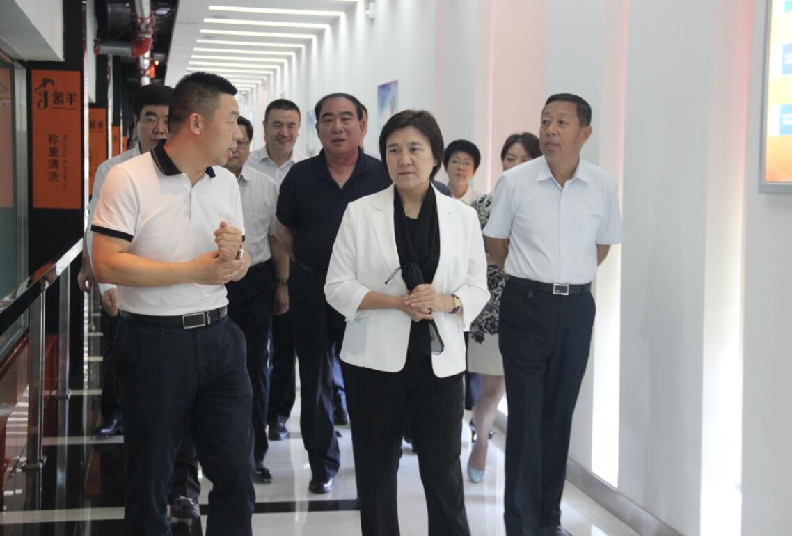 自治區(qū)黨委副書記、自治區(qū)主席布小林蒞臨協(xié)會會長單位——蒙羊牧業(yè)公司視察調(diào)研