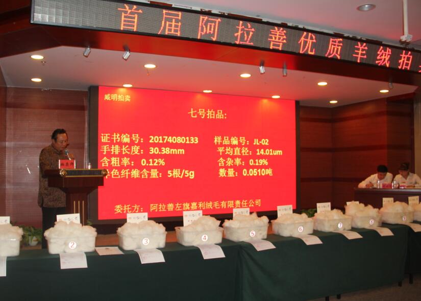 創(chuàng)新引領(lǐng)未來，品質(zhì)鑄就輝煌 首屆阿拉善優(yōu)質(zhì)羊絨拍賣會盛大舉行