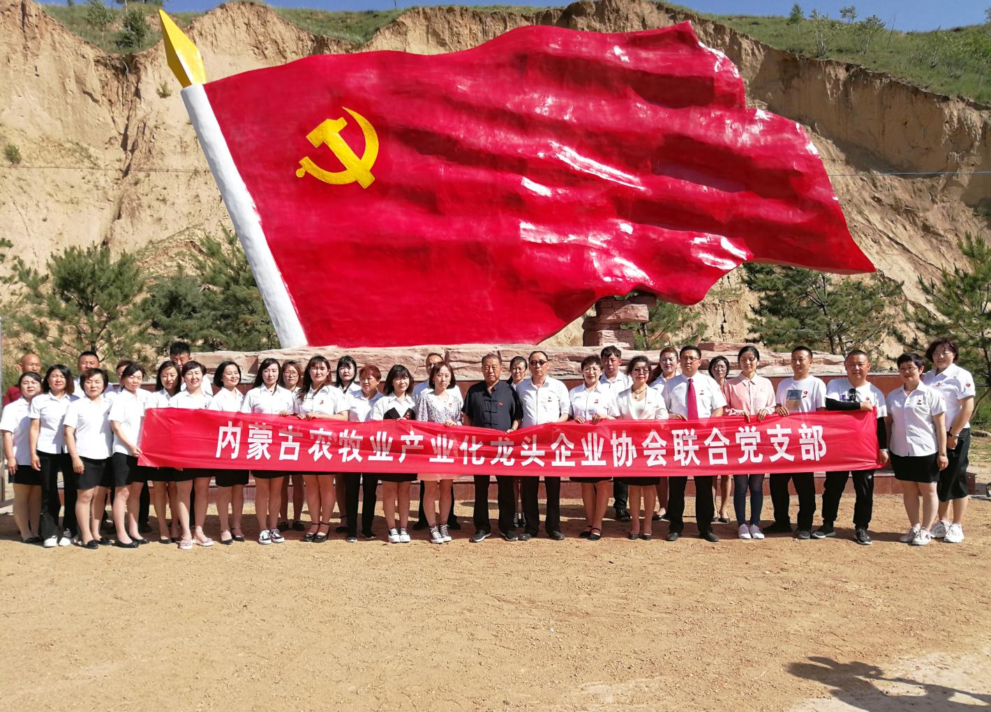 內(nèi)蒙古農(nóng)牧業(yè)產(chǎn)業(yè)化龍頭企業(yè)協(xié)會(huì)走進(jìn)石人灣村開(kāi)展“辦實(shí)事、解難題，送溫暖，傳黨恩”公益活動(dòng)